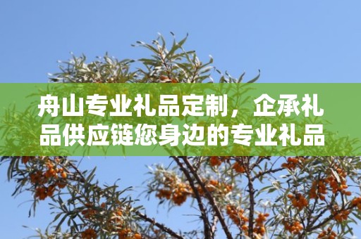 舟山专业礼品定制，企承礼品供应链您身边的专业礼品定制公司